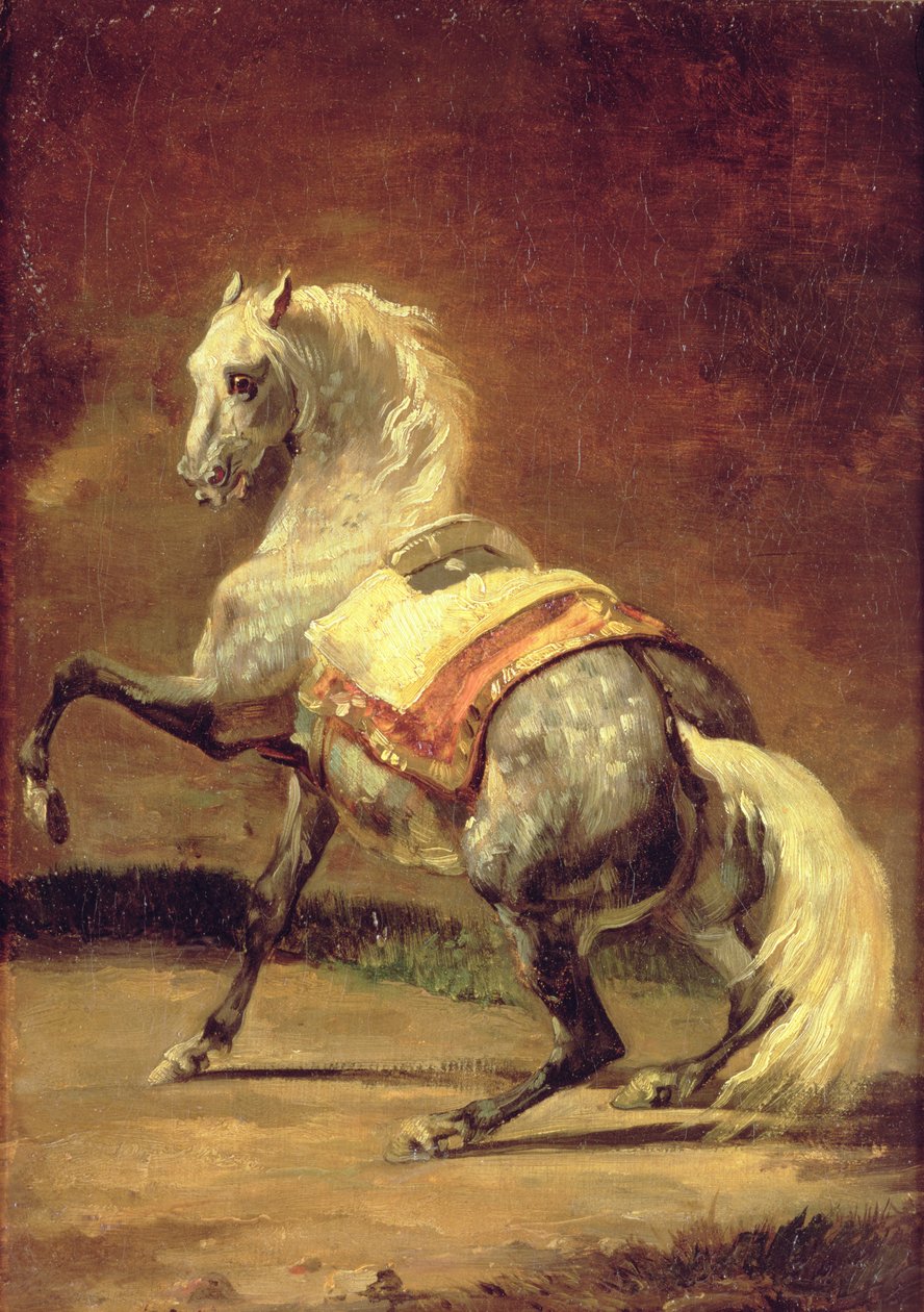 Kropenatý šedý kůň od Theodore Gericault