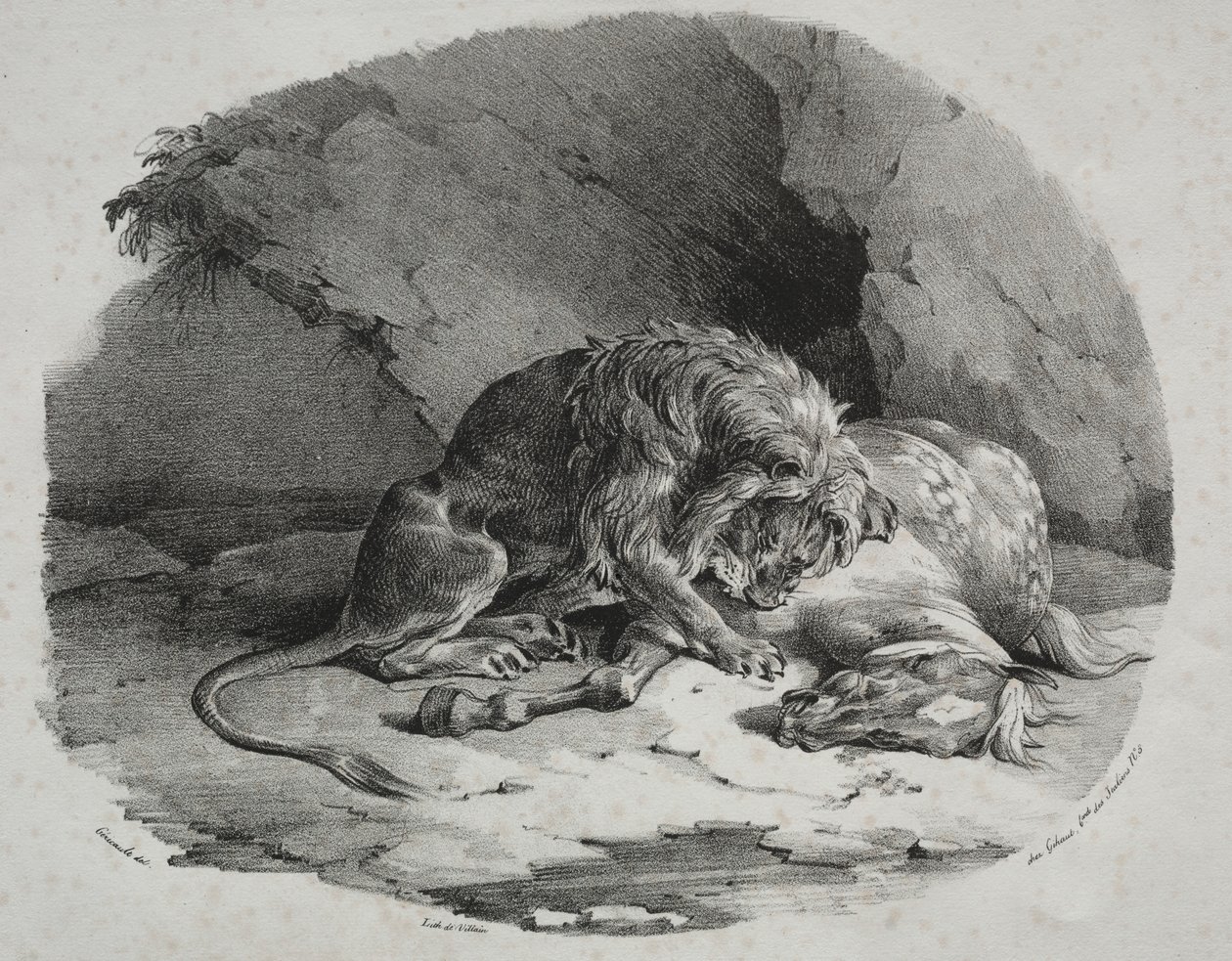 Kůň pohlcený lvem od Theodore Gericault