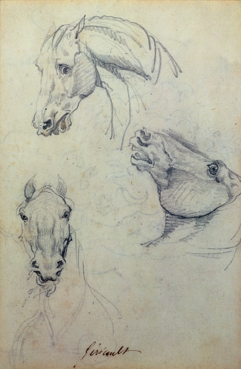 Tři koňské hlavy (tužka) od Theodore Gericault
