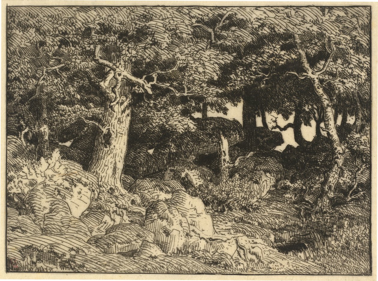 Chenes de Roche (Rock Oaks) od Theodore Rousseau