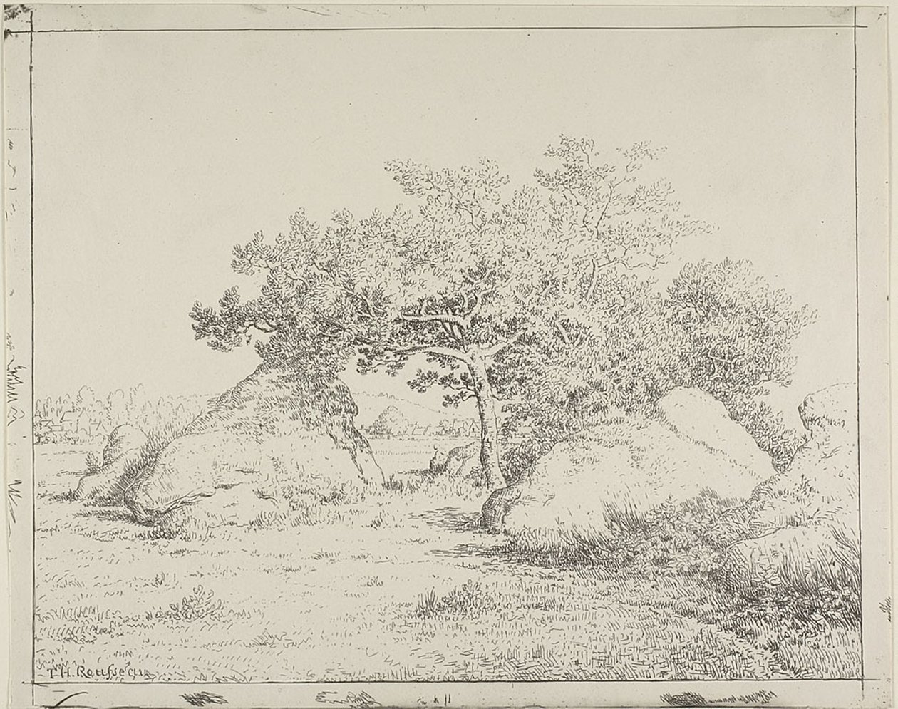 Třešeň v Plante à Biau od Theodore Rousseau