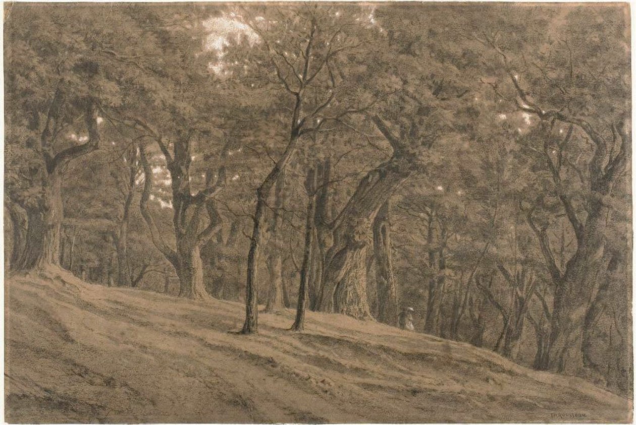 V lese Fontainbleau od Theodore Rousseau