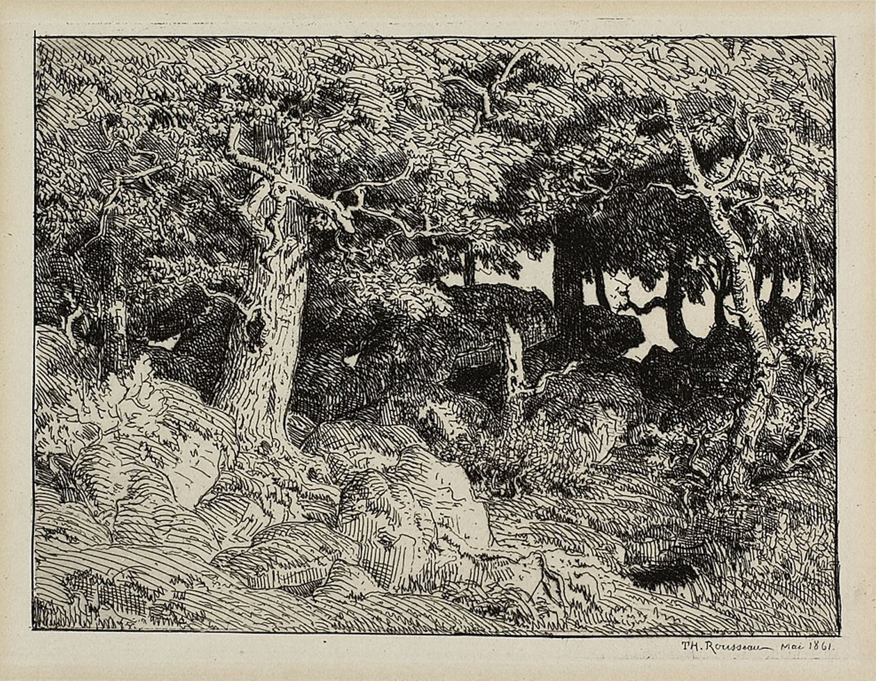 Dub ze skály od Theodore Rousseau
