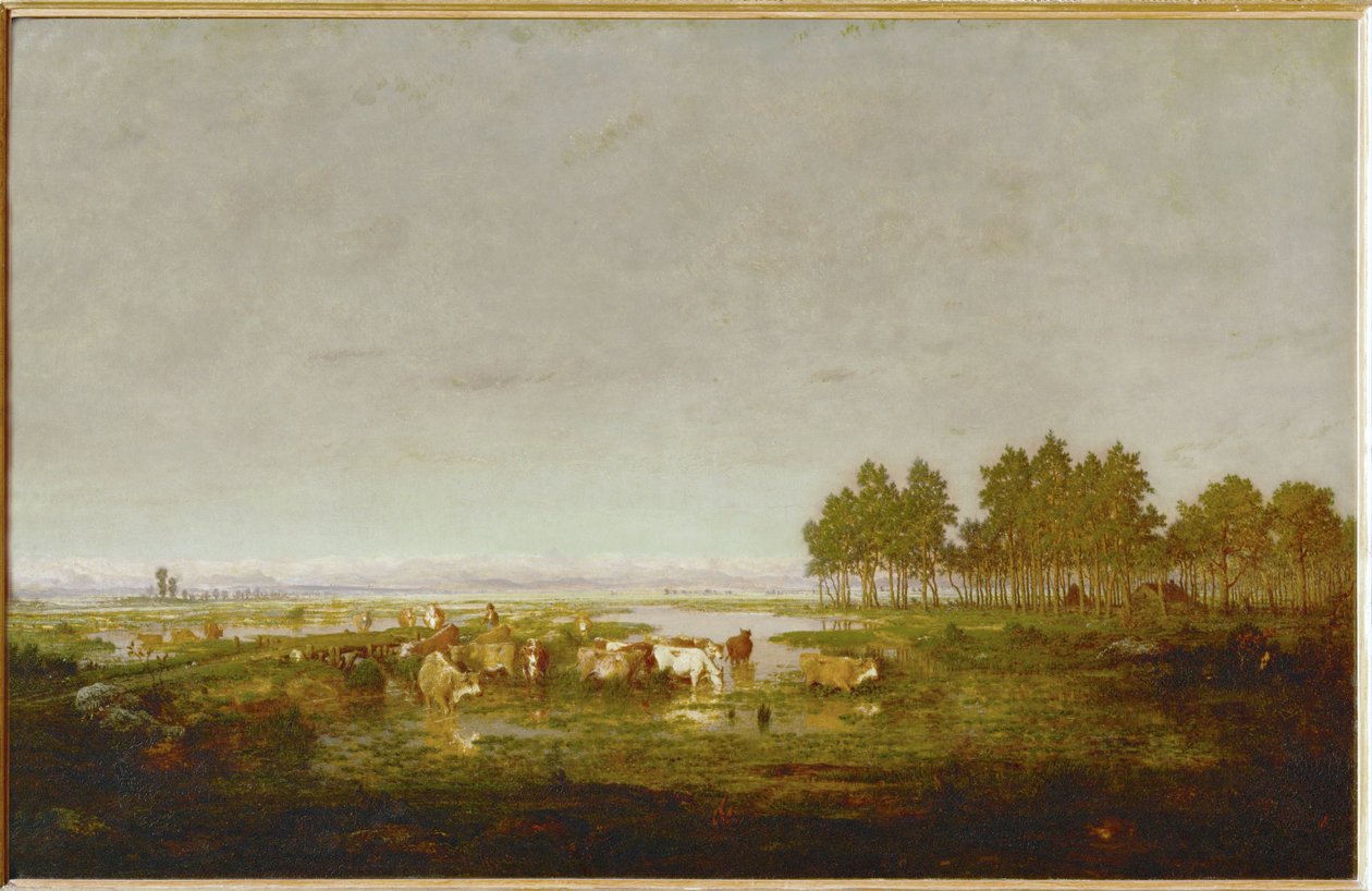 Bažina v Landes ... od Theodore Rousseau