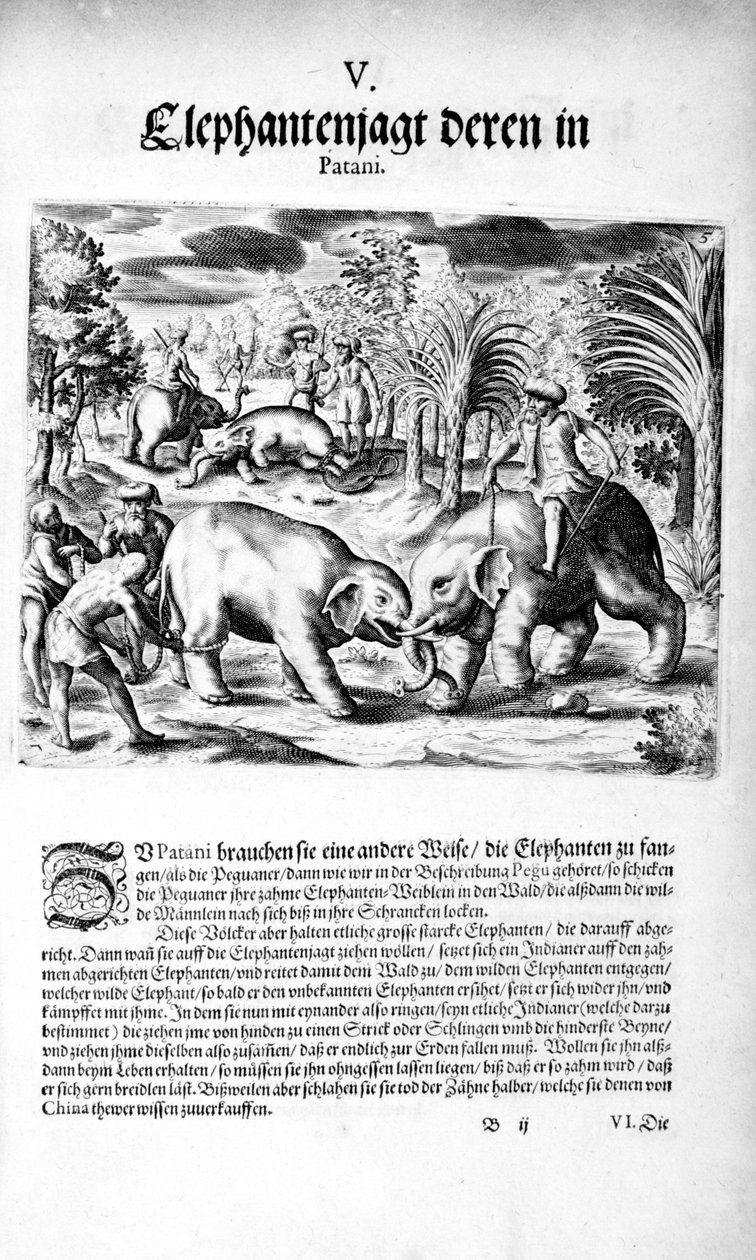 Boj slonů, 1606 od Theodore de Bry