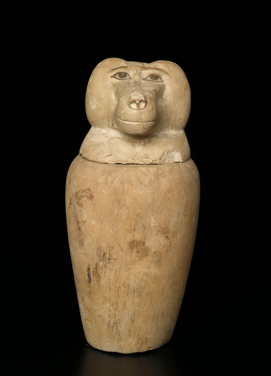 Canopic sklenice (vápenec) od Third Intermediate Period Egyptian