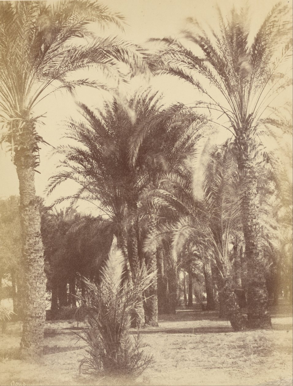 Gous od Théodule Devéria