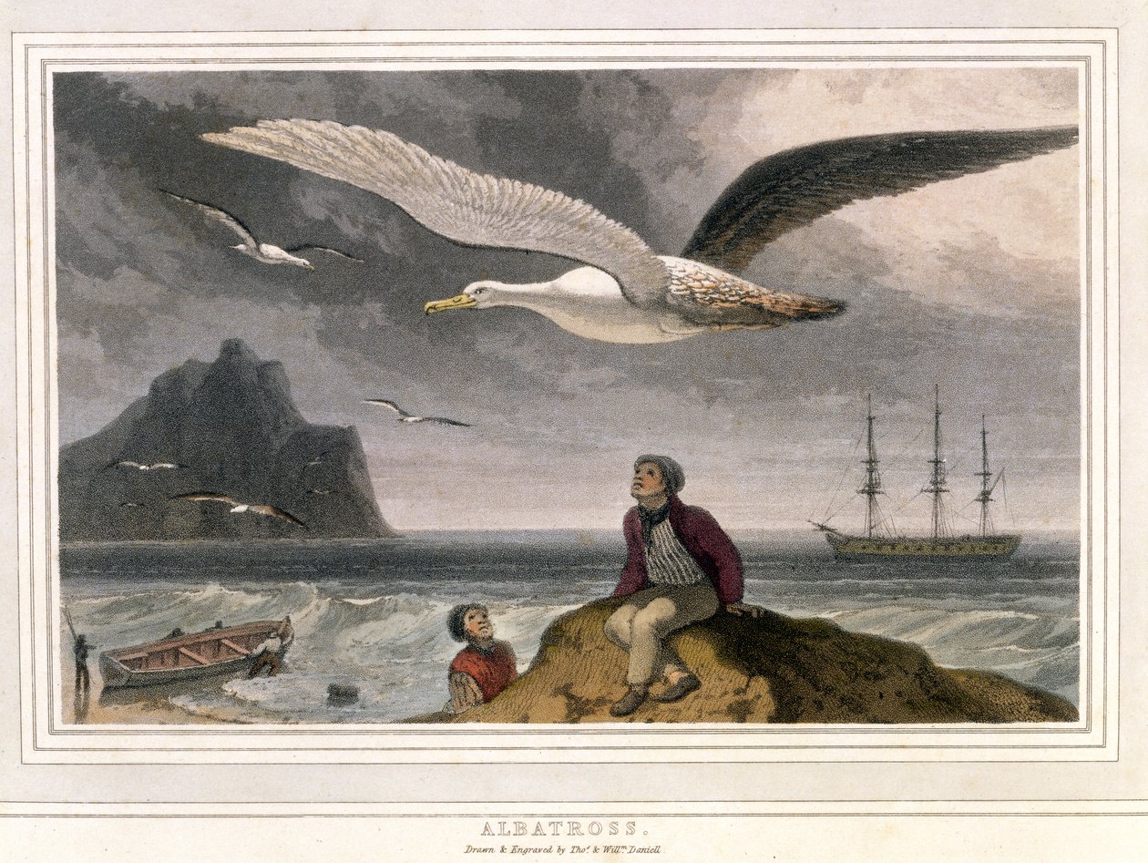 Albatros, hospoda. Londýn 1810 (barevná litografie) od Thomas und William Daniell