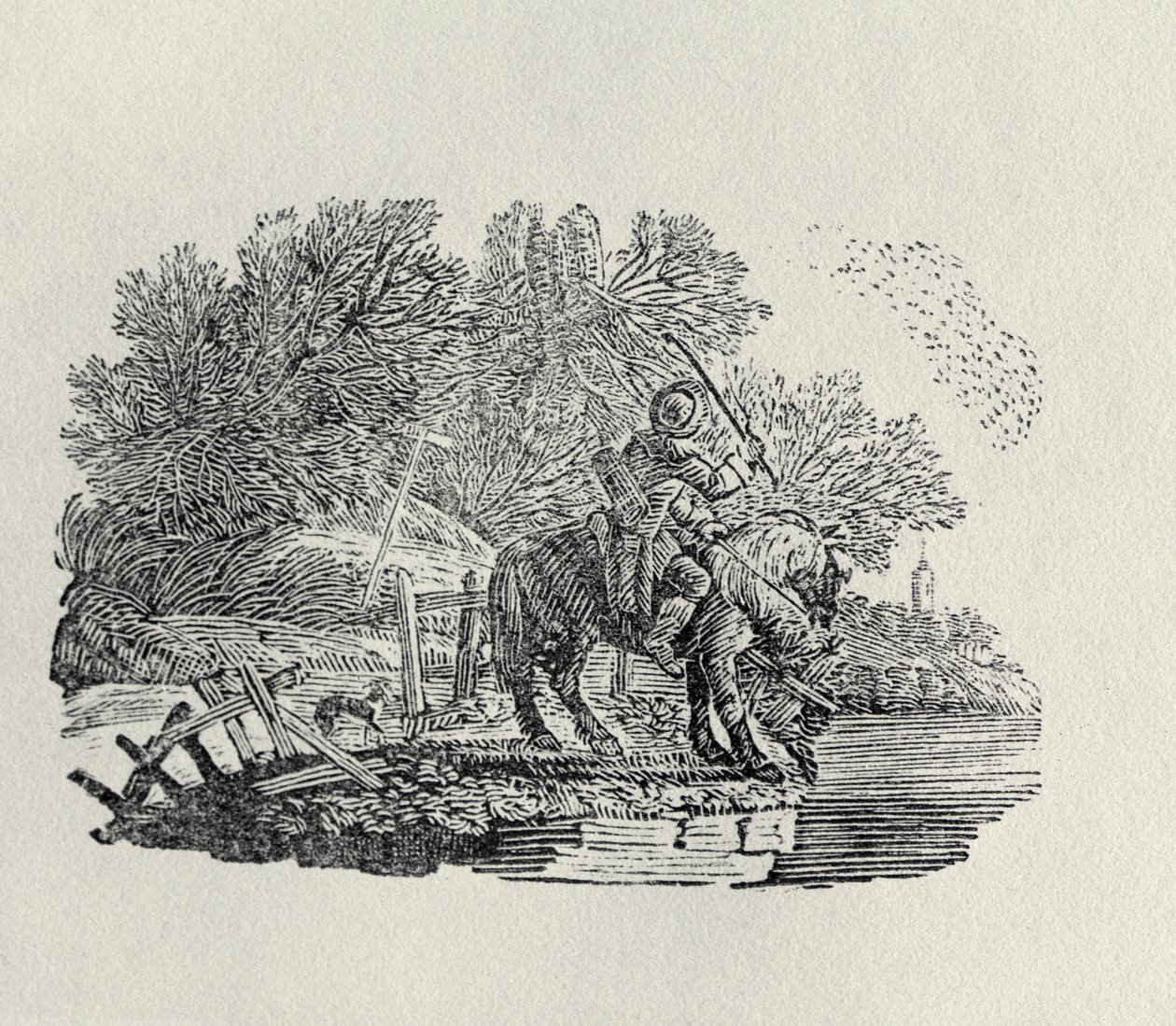 Jezdec rozptýlený hejnem ptáků (dřevoryt) od Thomas Bewick