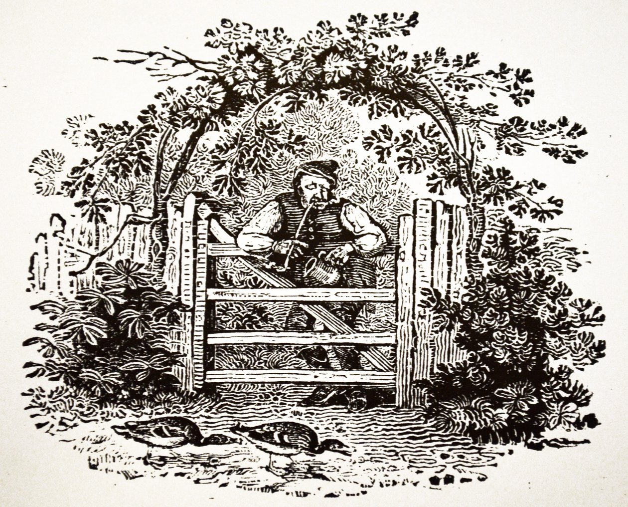 Countryman Smoking a Churchwarden, 1804 od Thomas Bewick