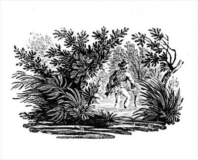 Fording the River, od Land Birds, c. 1797 (dřevoryt) od Thomas Bewick