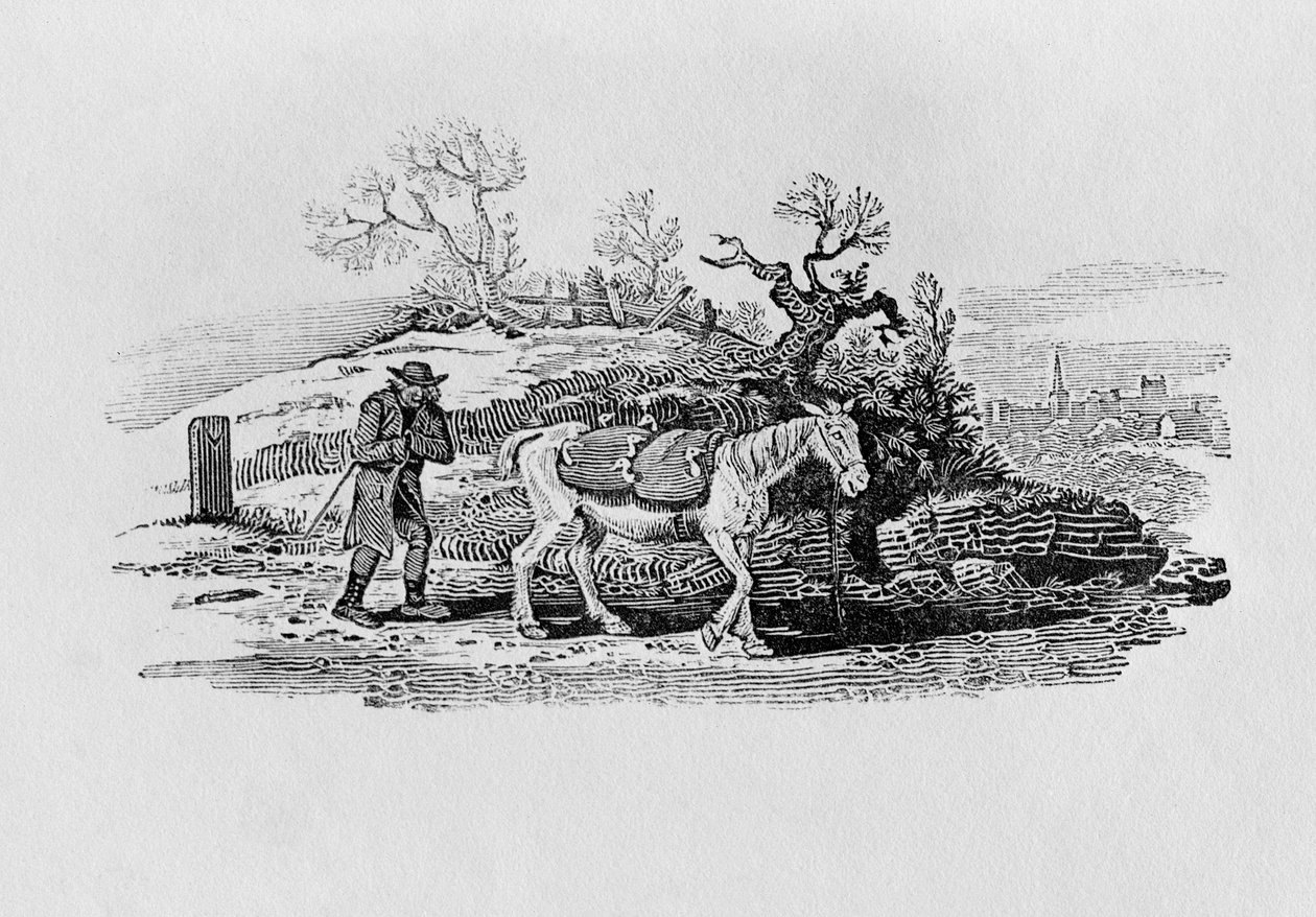 Husy přenesené na trh z „Historie britských ptáků a čtyřnožců“ od Thomas Bewick