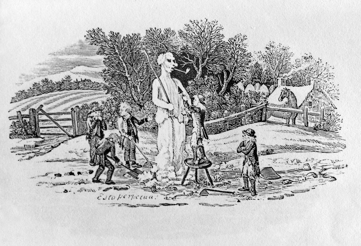Sněhulák v Cherryburn (Esto Perpetua), z Land Birds, c. 1797 (dřevoryt) od Thomas Bewick
