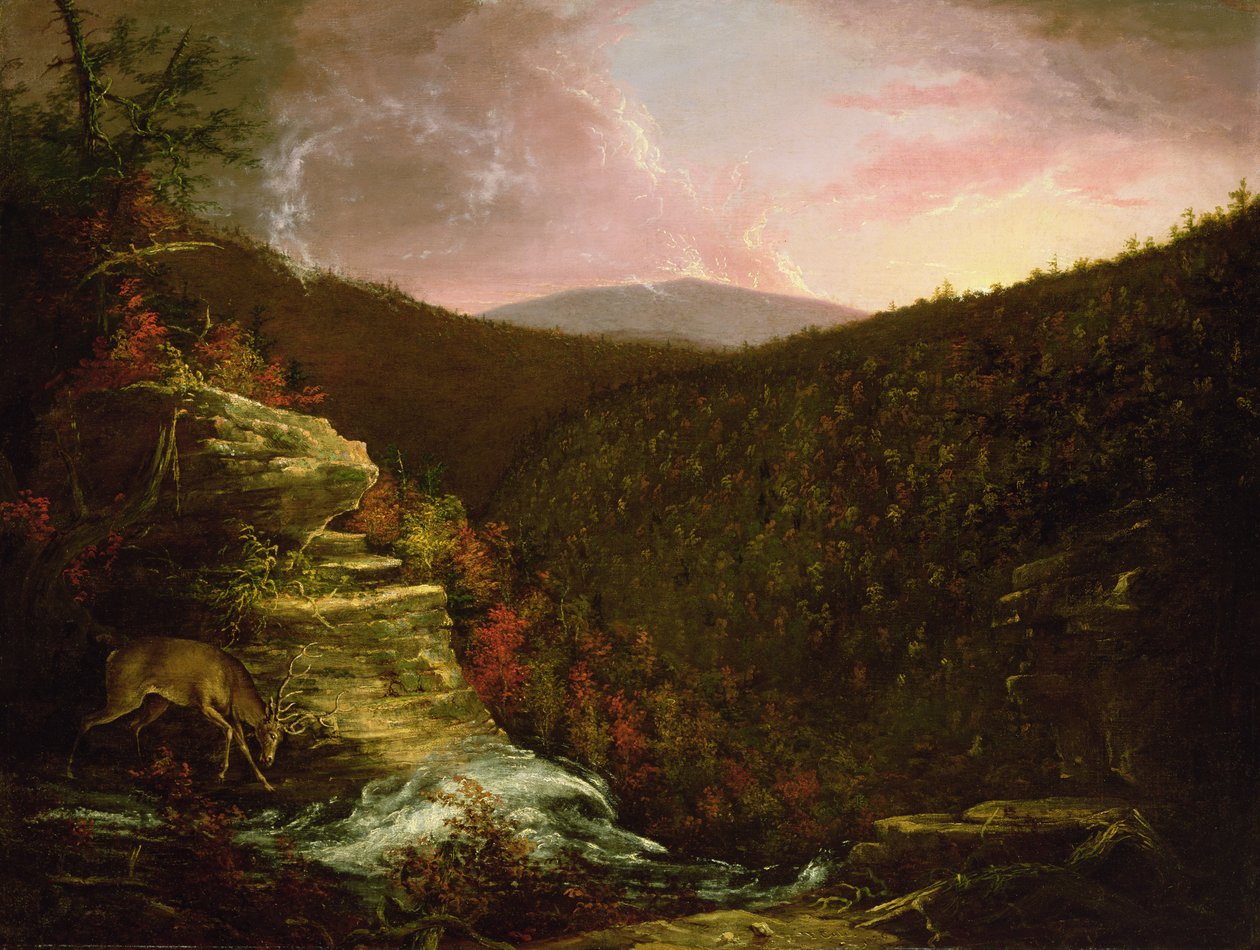 Z vrcholu Kaaterskill Falls, 1826 od Thomas Cole