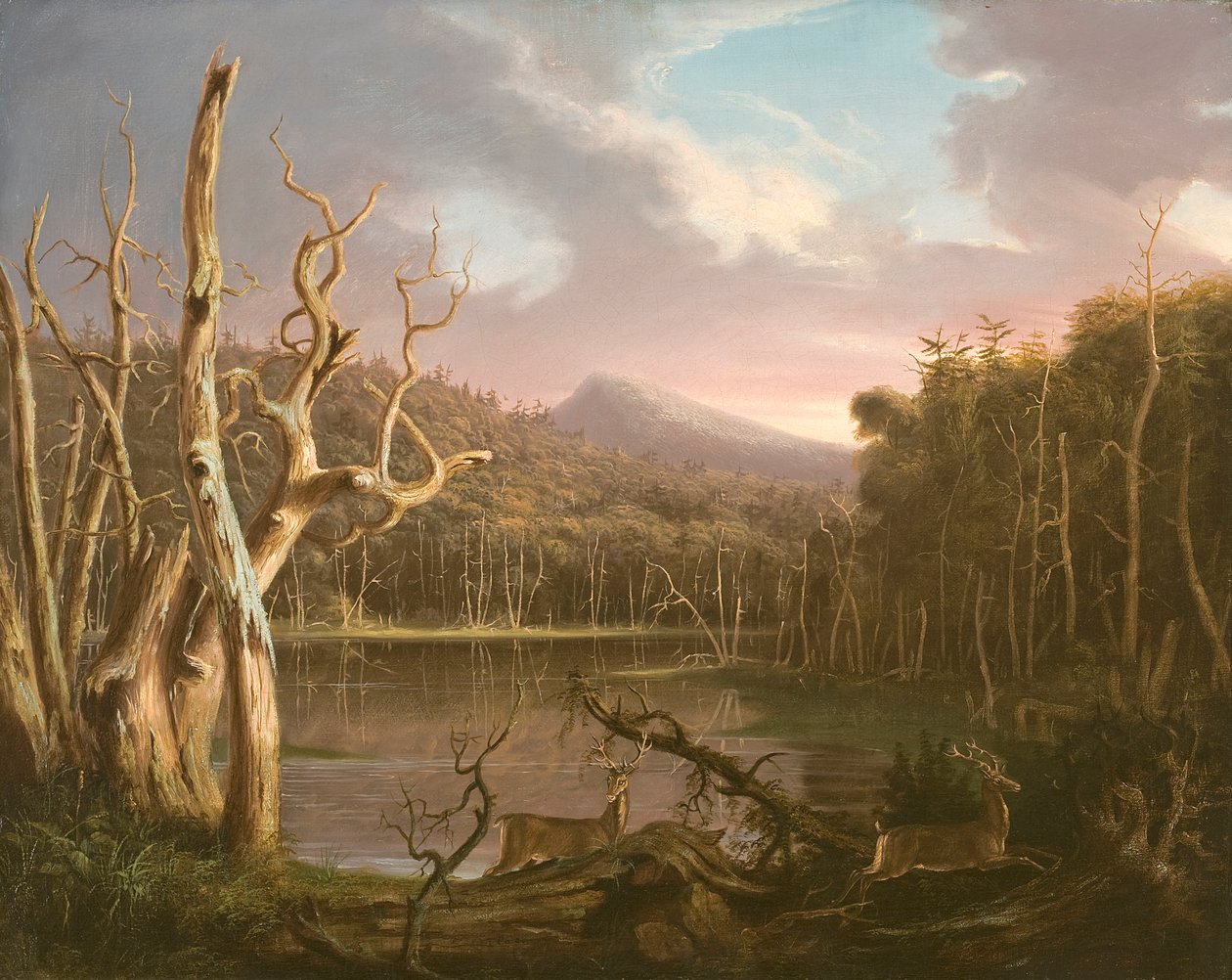 Jezero s mrtvými stromy (Catskill) od Thomas Cole