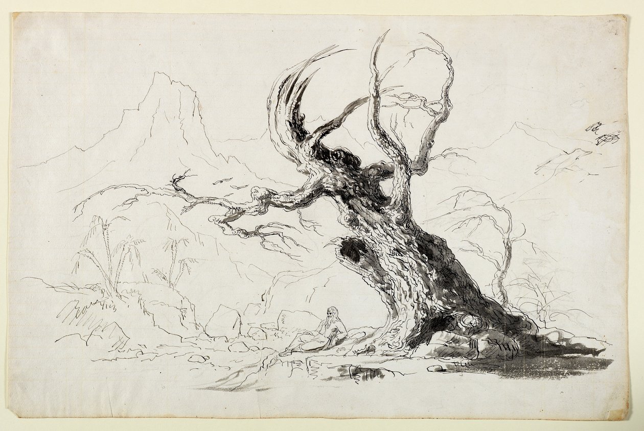 Velký sukovitý strom s vousatým mužem sedícím níže (pero a inkoust přes tužku na papíře) od Thomas Cole