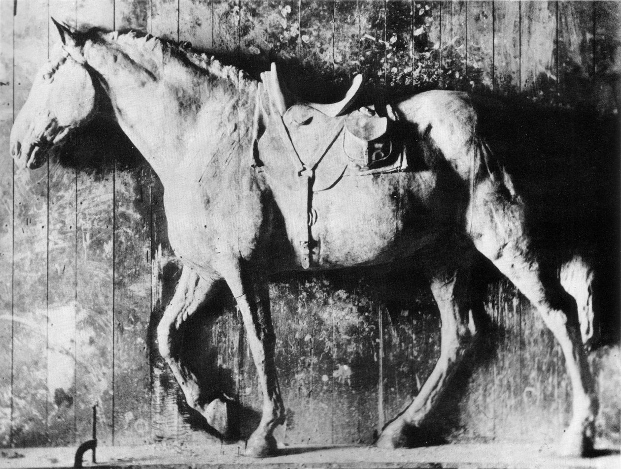 Klinker od Thomas Eakins