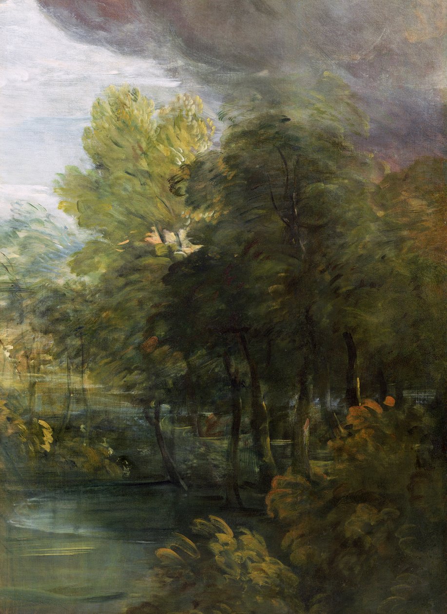 Krajina s bazénem od Thomas Gainsborough