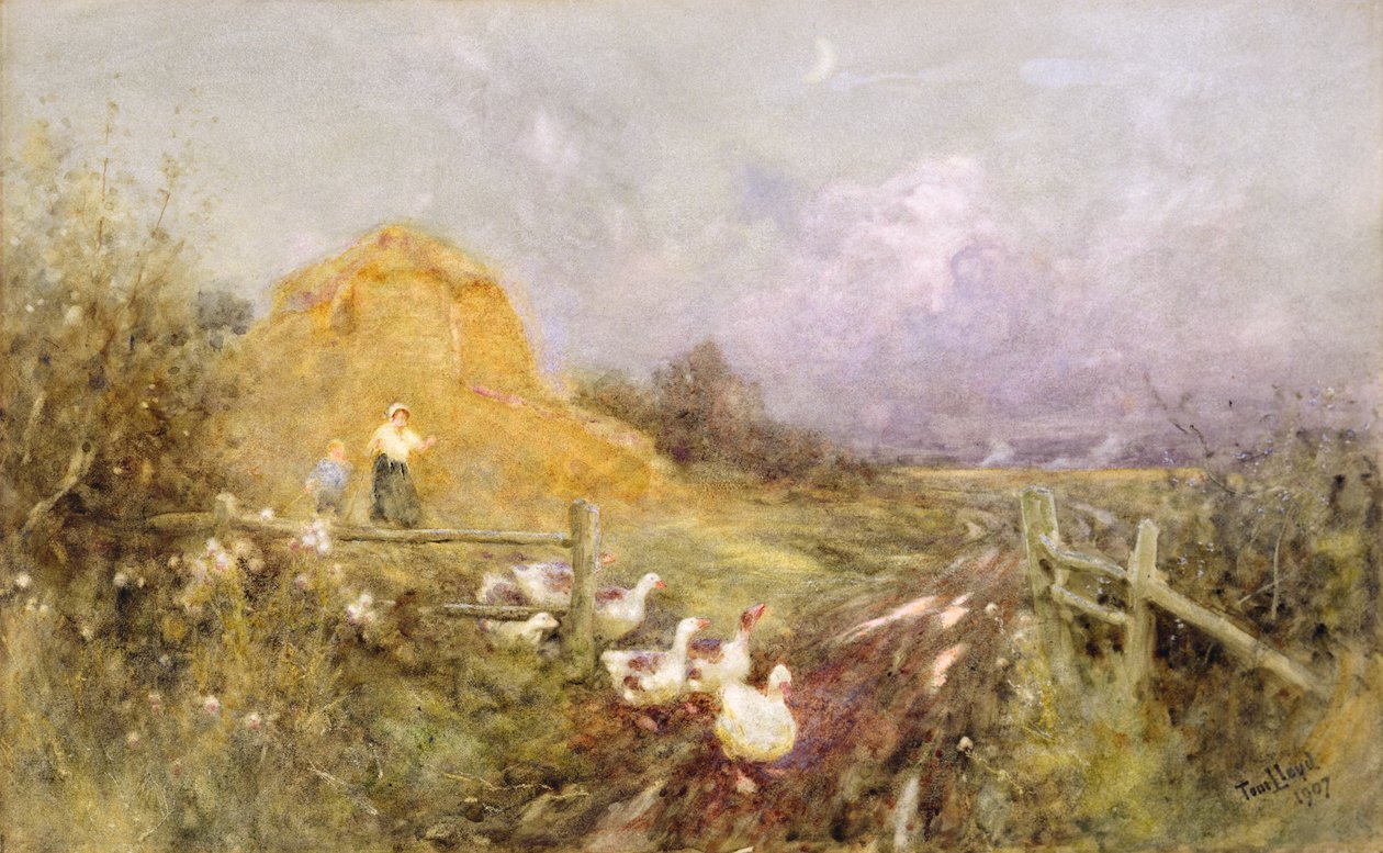 Vyhánění hus, podvečer, 1907 od Thomas James Lloyd