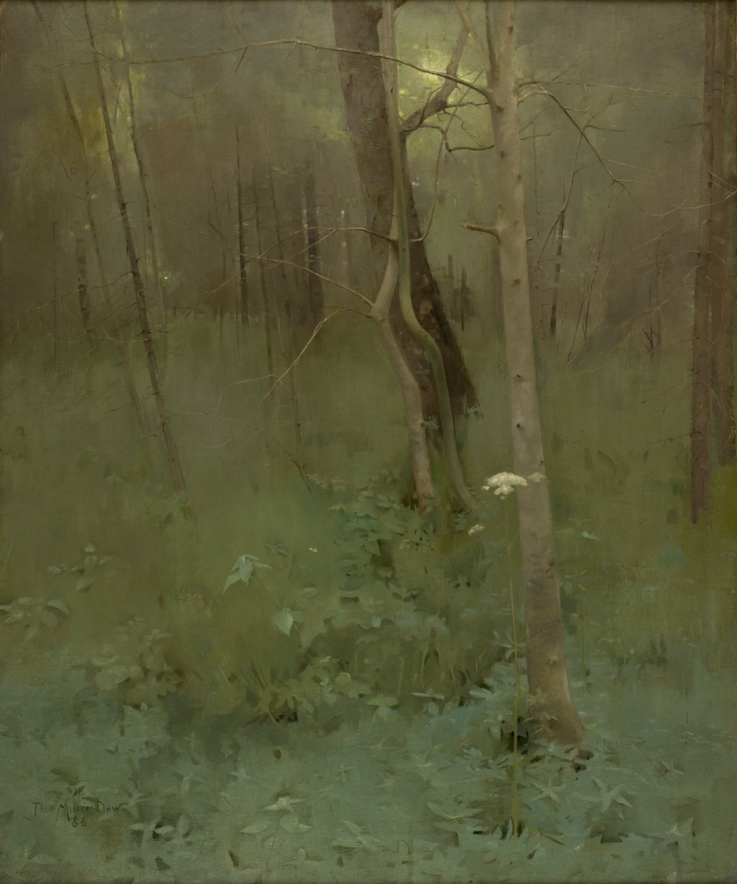 Stromy, 1886 od Thomas Millie Dow