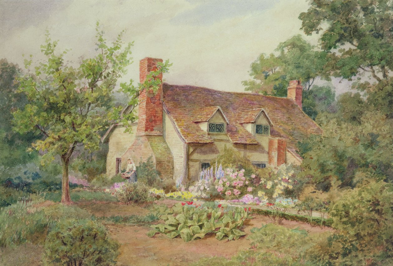 A Cottage Garden poblíž Wokingham, Berkshire (wc na papíře) od Thomas Nicholson Tyndale