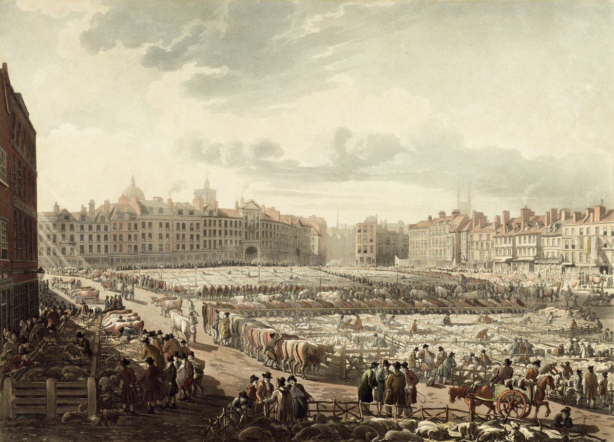 Pohled z ptačí perspektivy na Smithfield Market (akvatinta) od Thomas Rowlandson