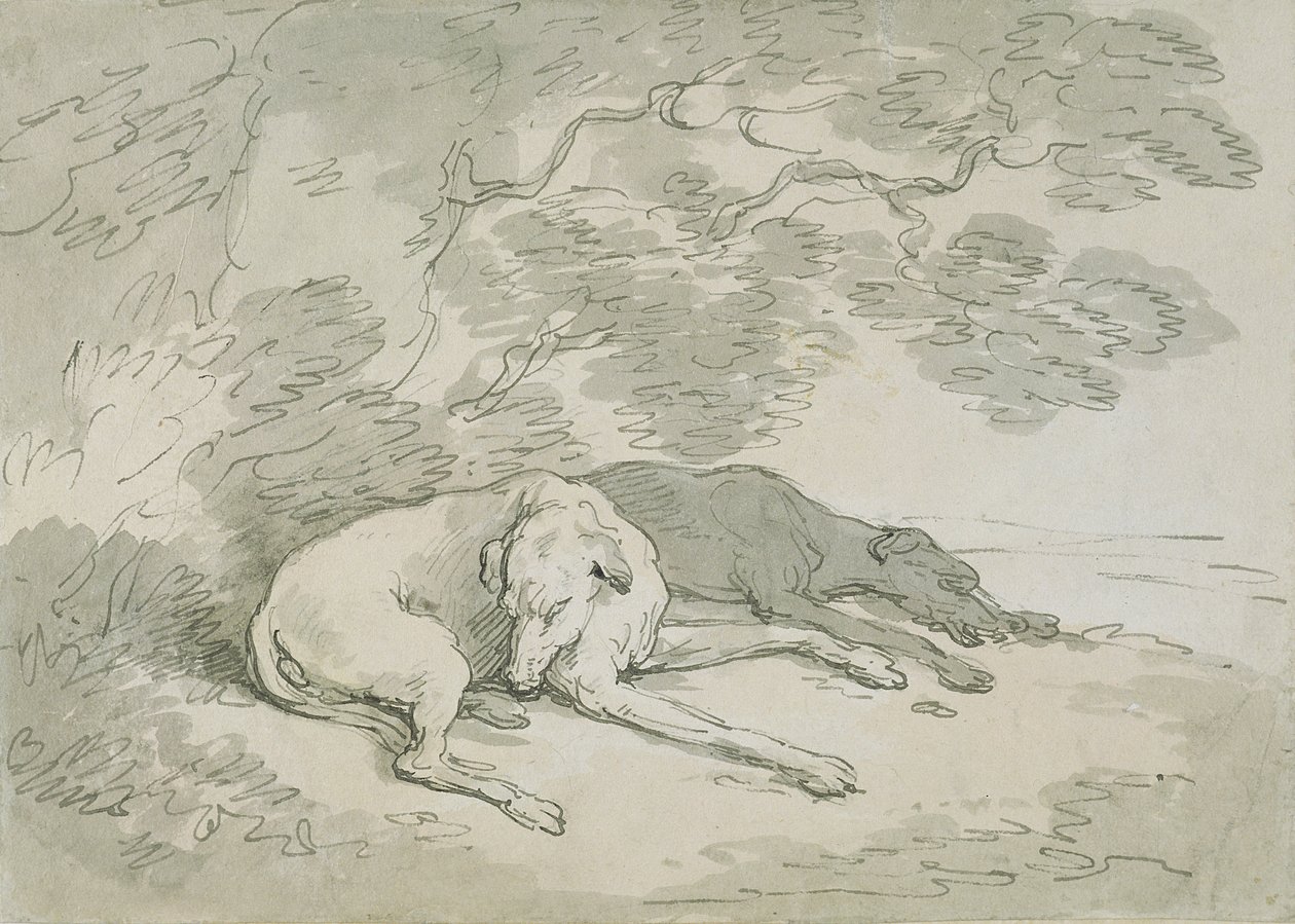 Greyhounds Spící, (pero a inkoust a wc na papíře) od Thomas Rowlandson