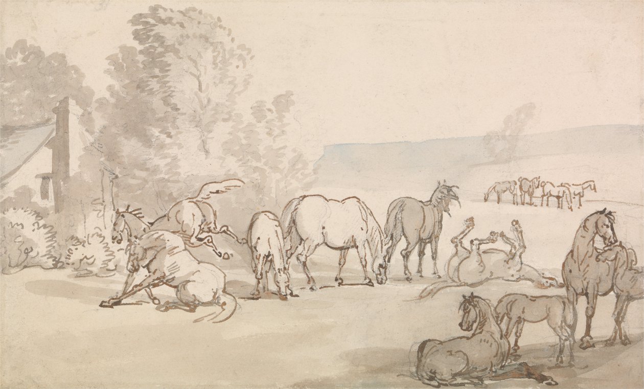 Klisny a hříbata v poli od Thomas Rowlandson