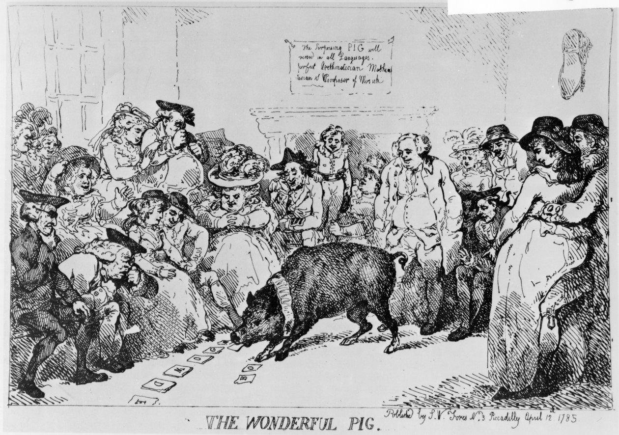 Podivuhodné prase, 1785 od Thomas Rowlandson
