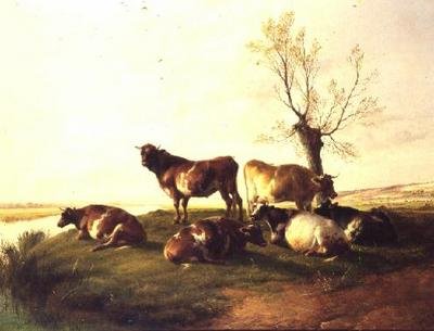 Canterbury Meadows od Thomas Sidney Cooper