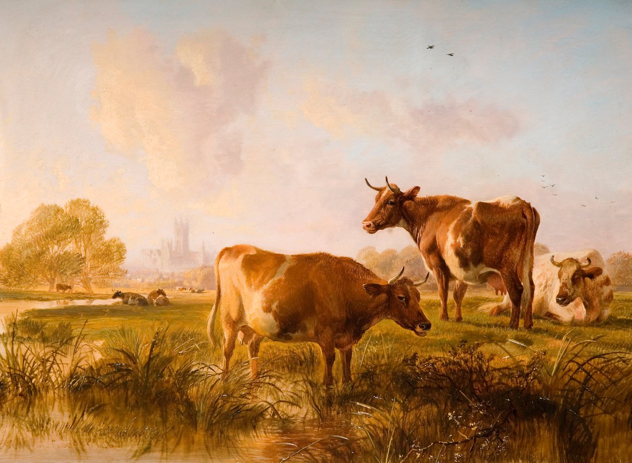 V Canterbury Meadows, 1863 od Thomas Sidney Cooper