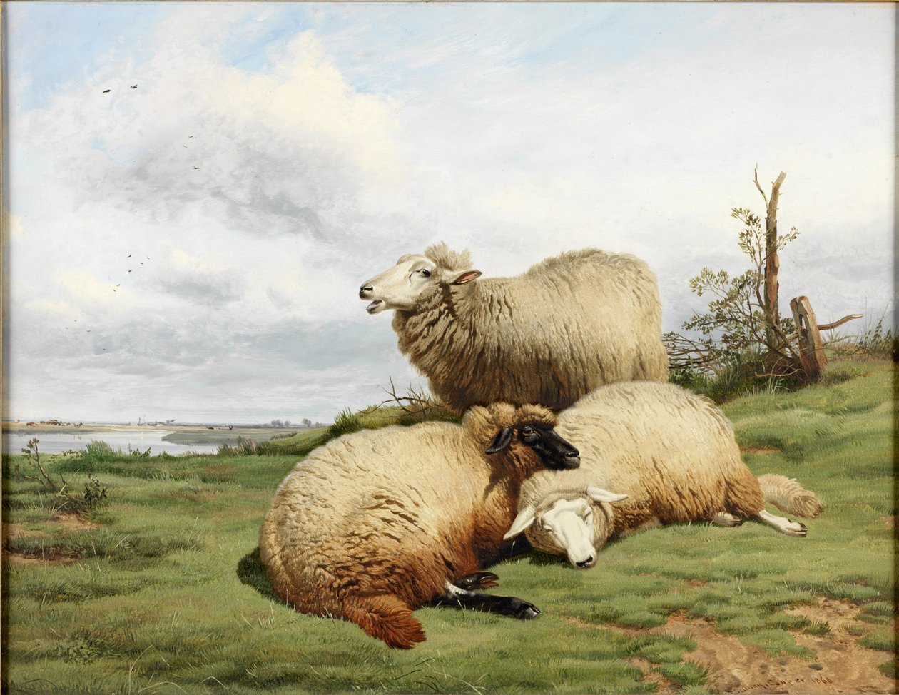 Polední klid od Thomas Sidney Cooper