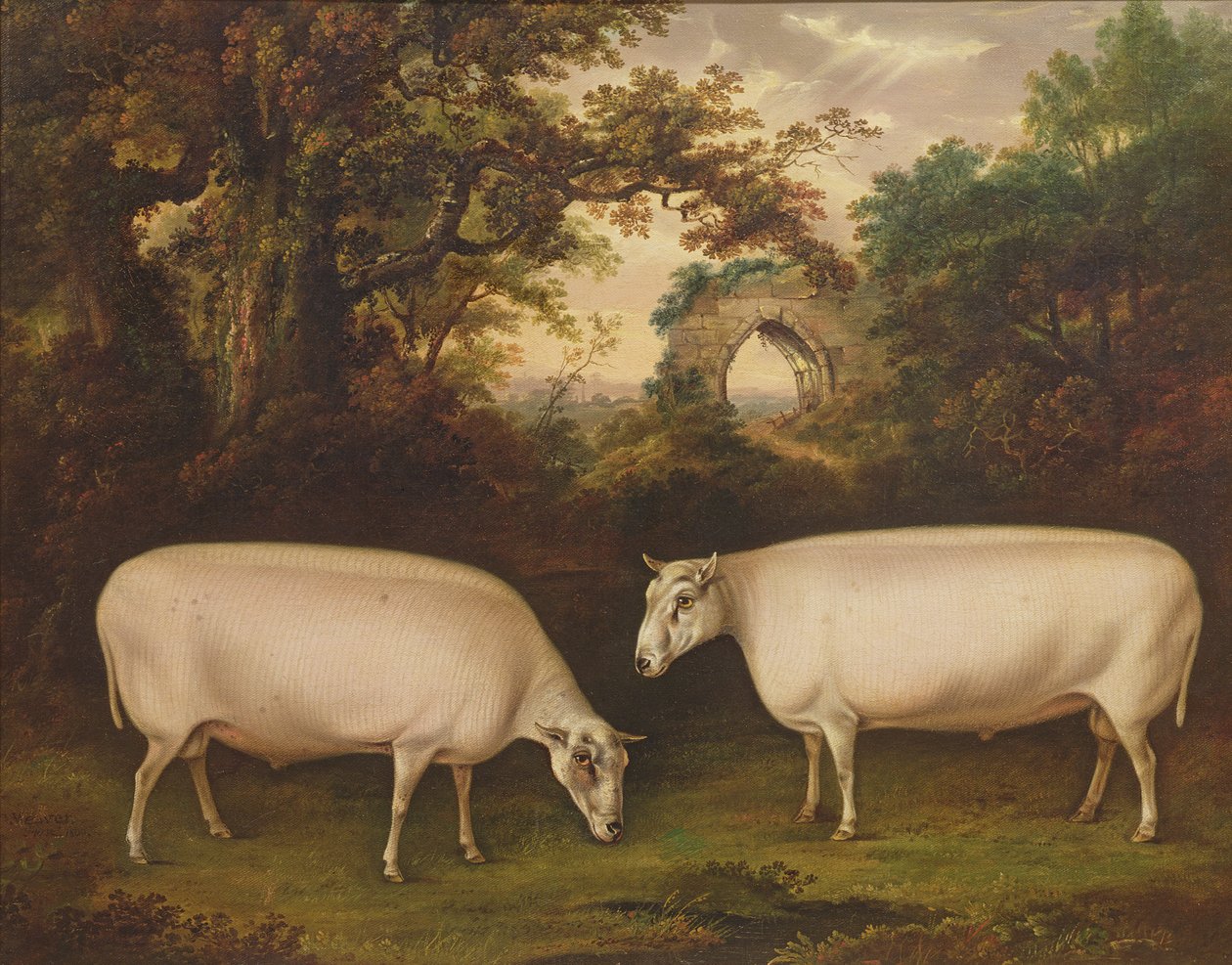 Dvě ceny Border Leicester Rams in a Landscape, 1800 od Thomas Weaver