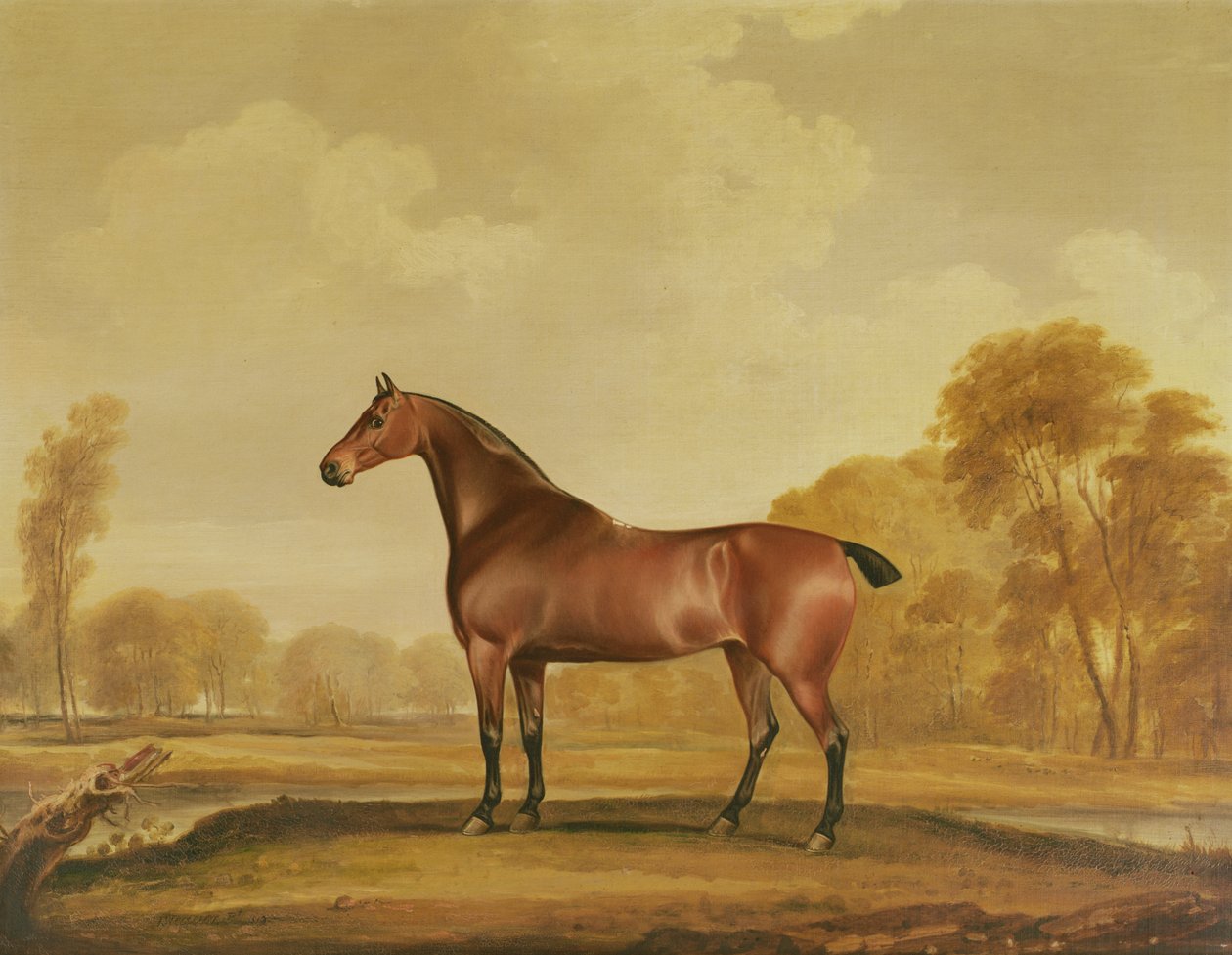 Zillah od Thomas Weaver