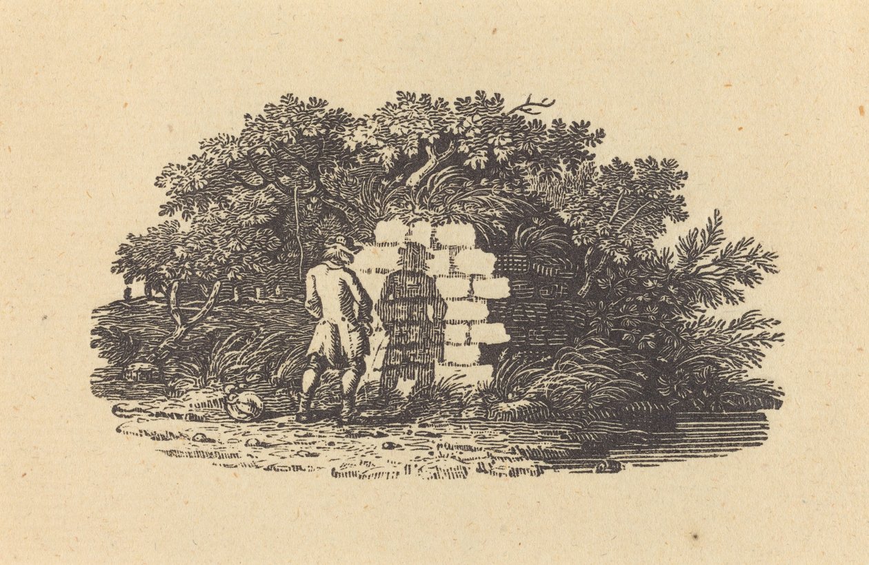 Muž čůrání od Thomas Bewick