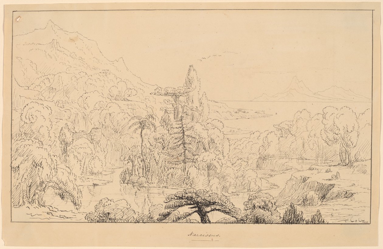 narcis [rovně] od Thomas Cole