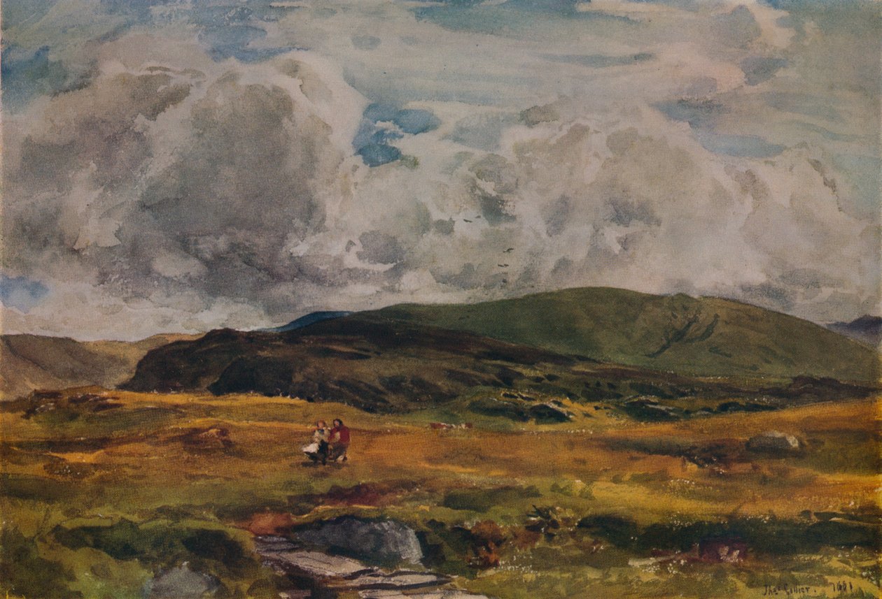 Cesta přes pole, 1881 od Thomas Collier