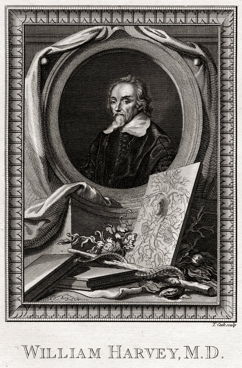 William Harvey, 1777 od Thomas Cook