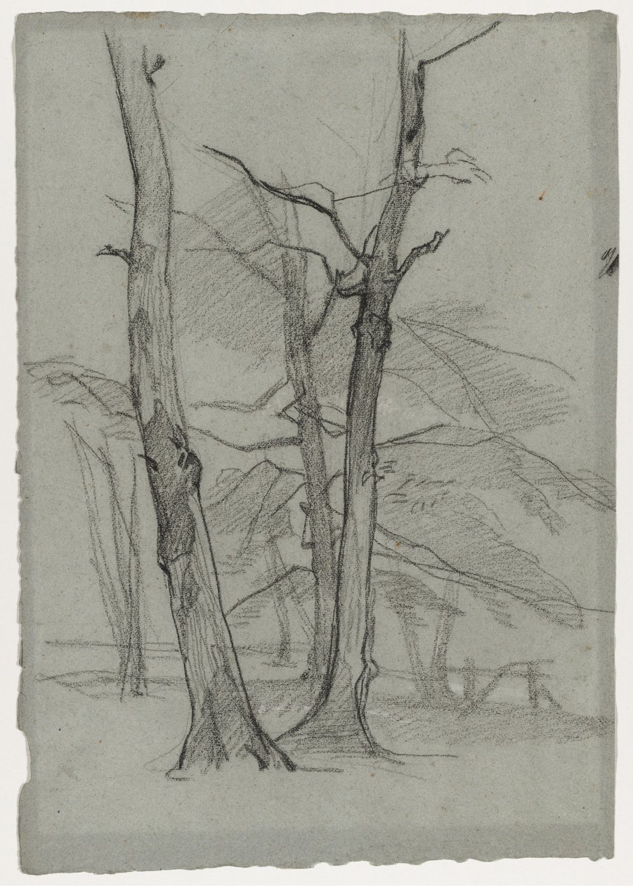 Krajinná studie se stromy, c. 1870-1875. od Thomas Couture
