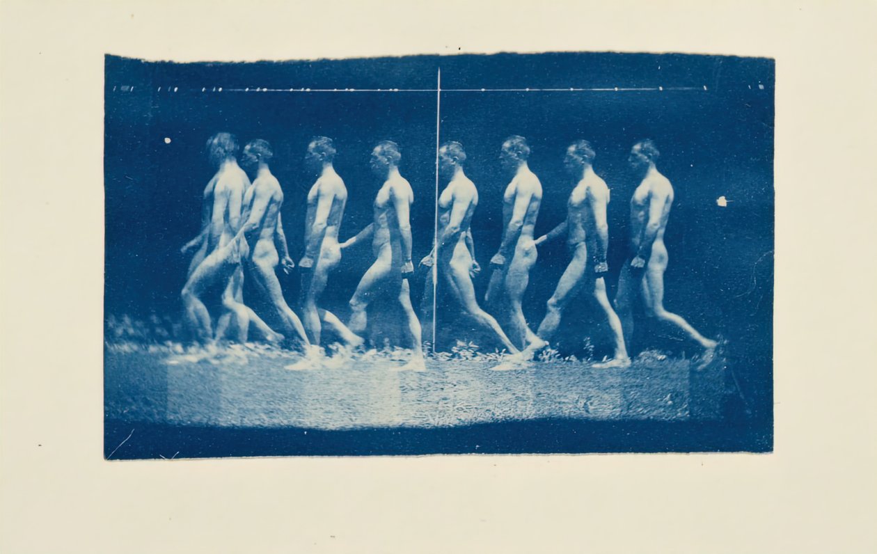 Marey Wheel Fotografie Jesse Godley, 1884. od Thomas Eakins