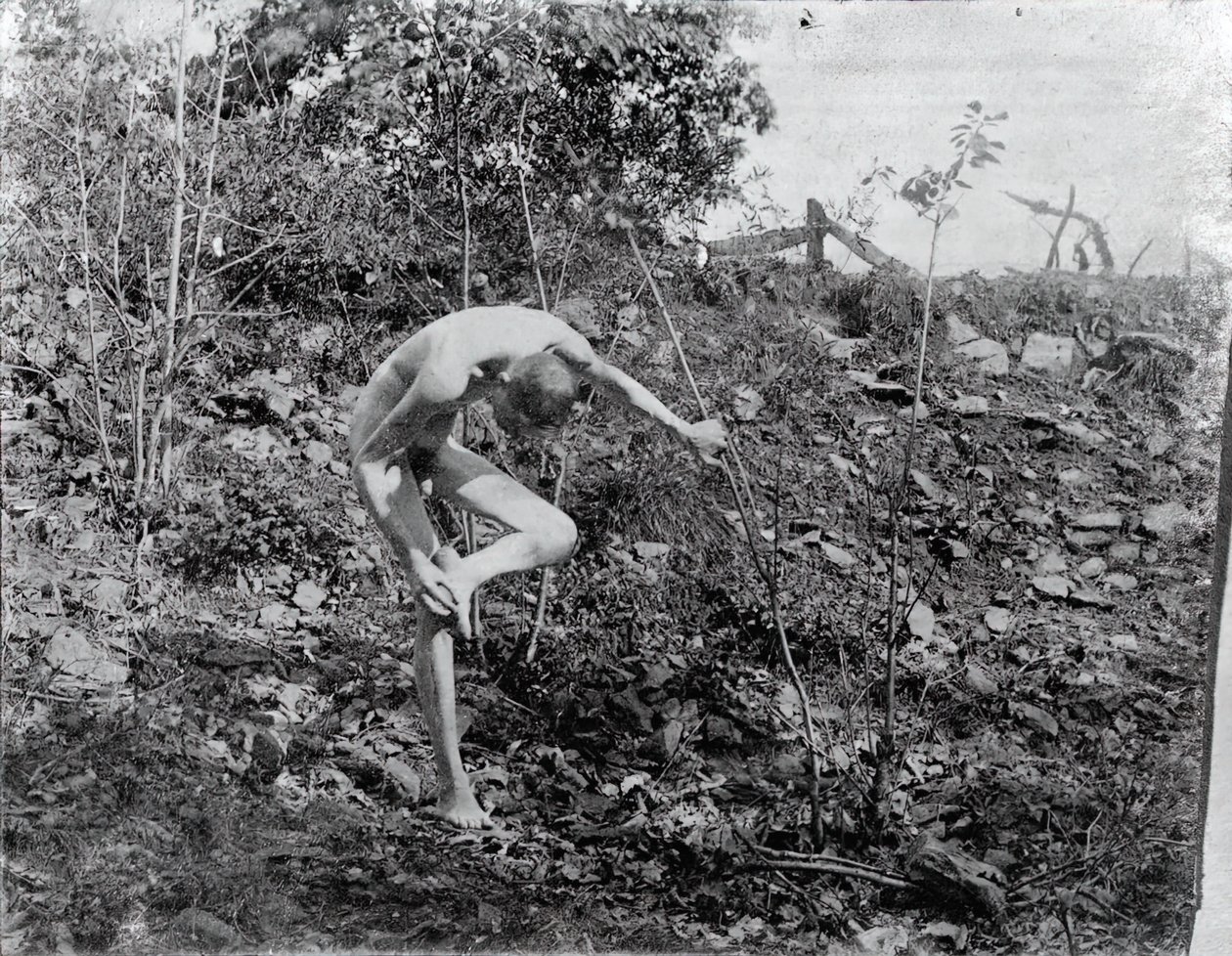 Trn Puller, c. 1883. od Thomas Eakins