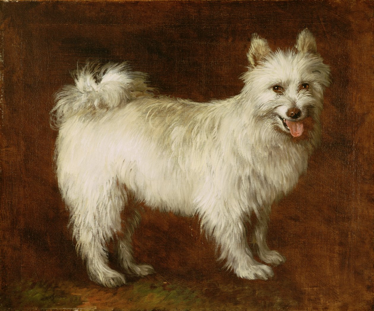 Špic, kolem 1760-70 (olej na plátně) od Thomas Gainsborough