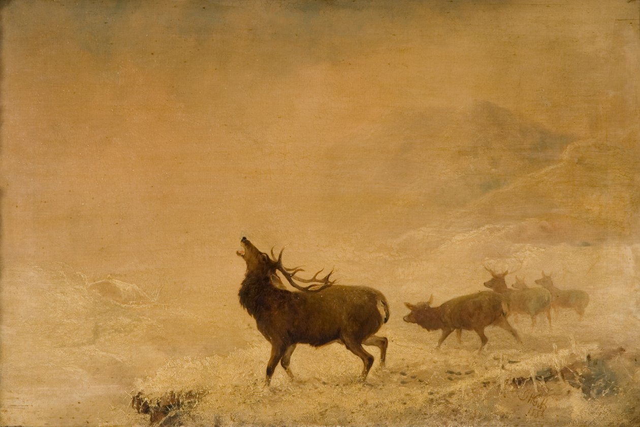 Tak daleko, 1883 od Thomas Henry Gibb
