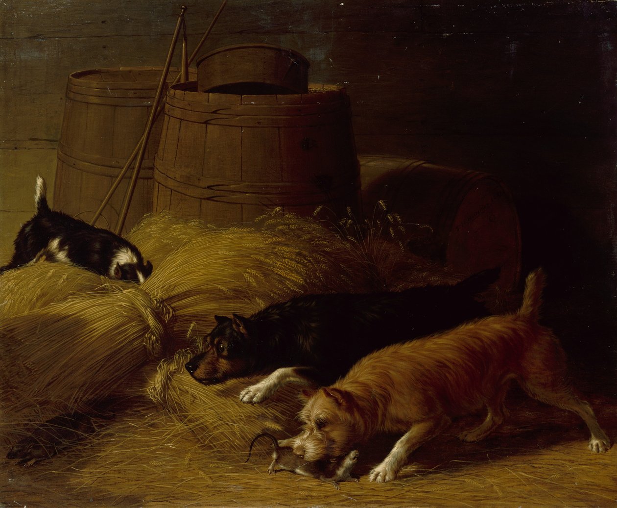 Krysy mezi ječmennými snopy, 1851. od Thomas Hewes Hinckley