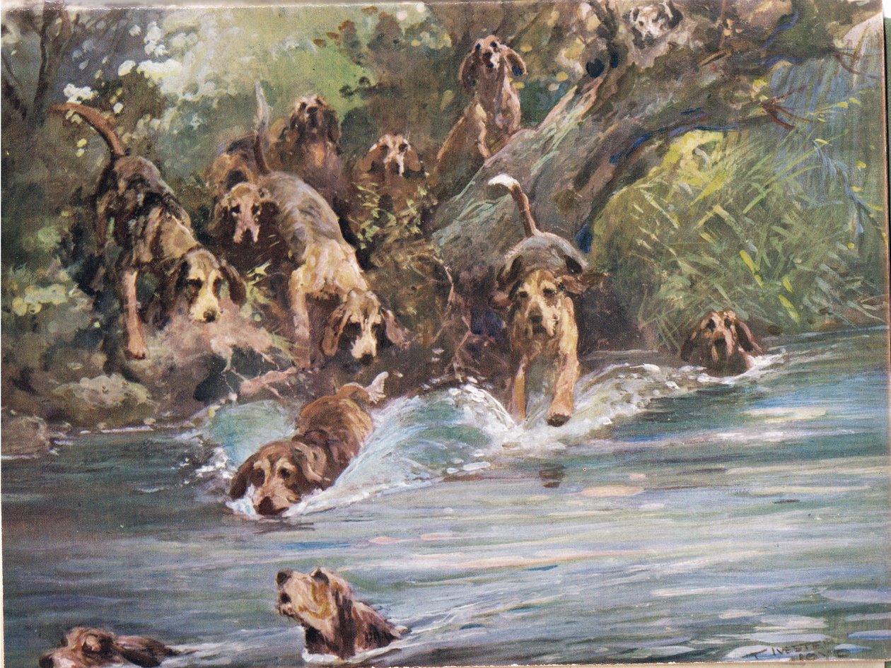 Do řeky, ilustrace z 