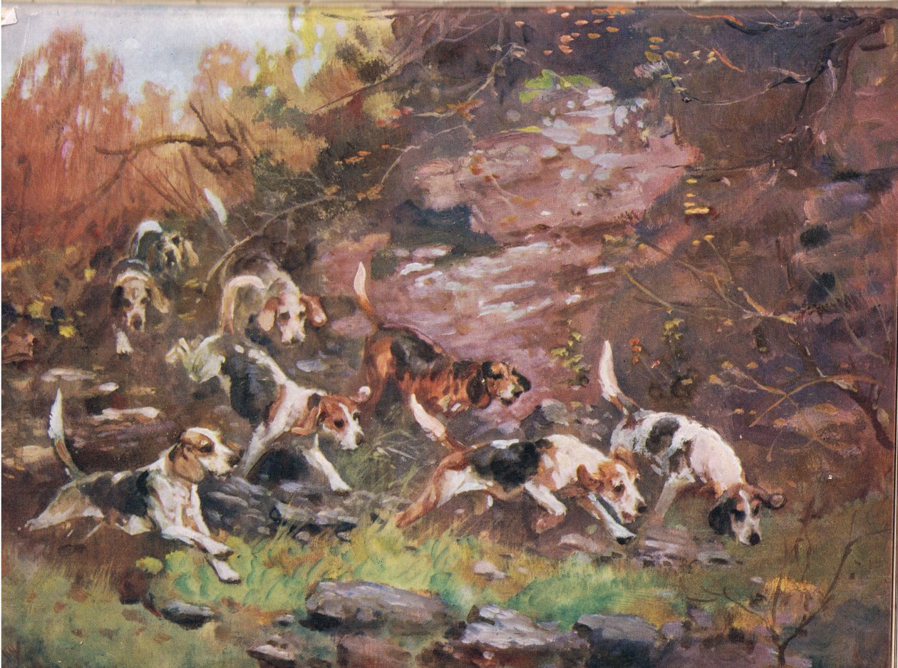 Through the Undergrowth, ilustrace z 