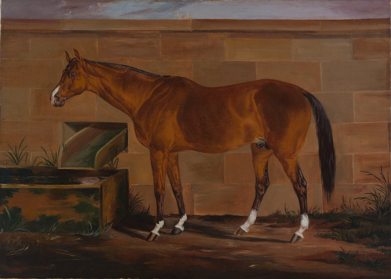Portrét Lexington, ca. 1857. od Thomas J. Scott