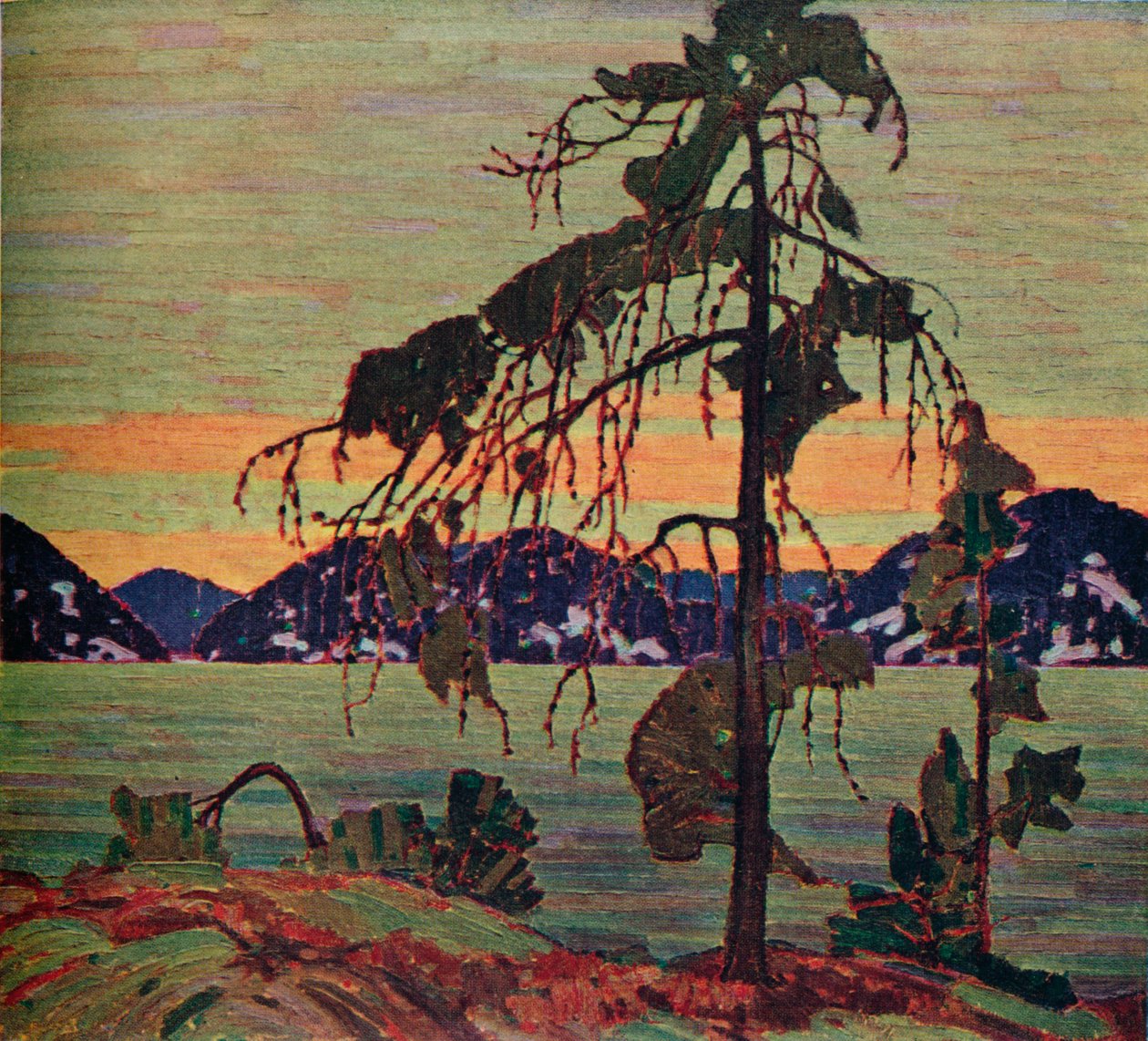 Jack Pine, 1917. 1925 od Tom Thomson