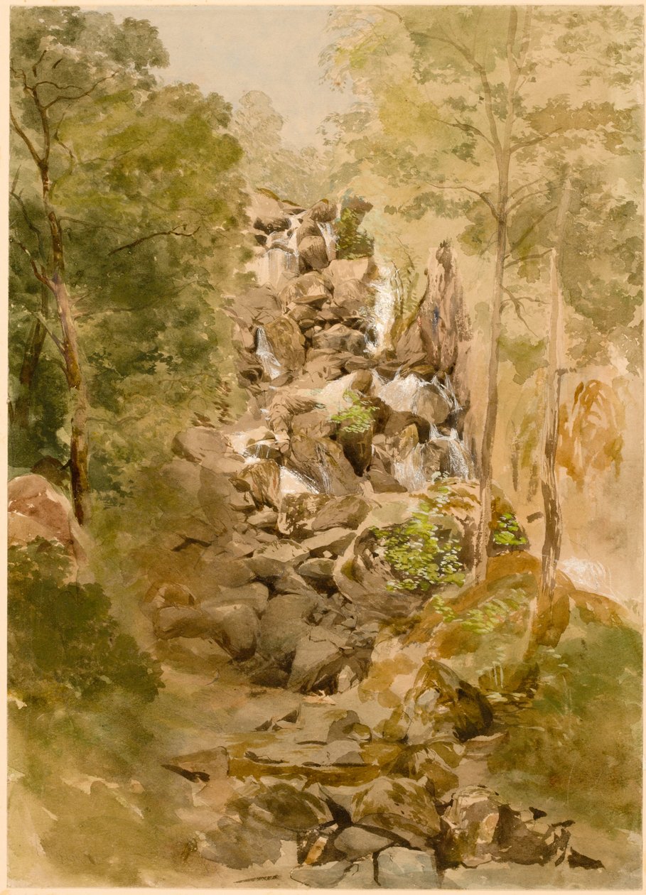 Krajina s vodopádem (barva těla) od Thomas Miles Richardson