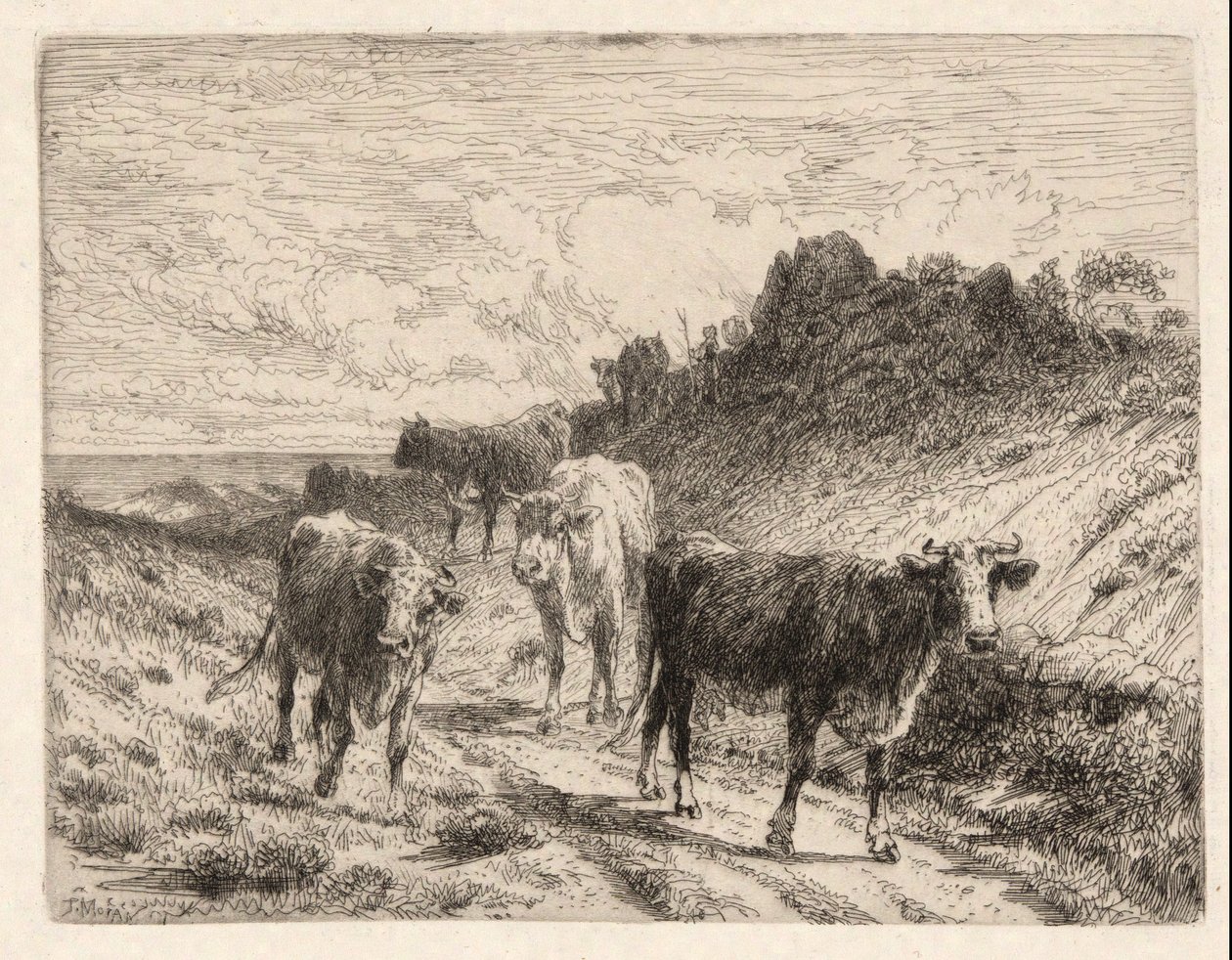 Krávy od Thomas Moran